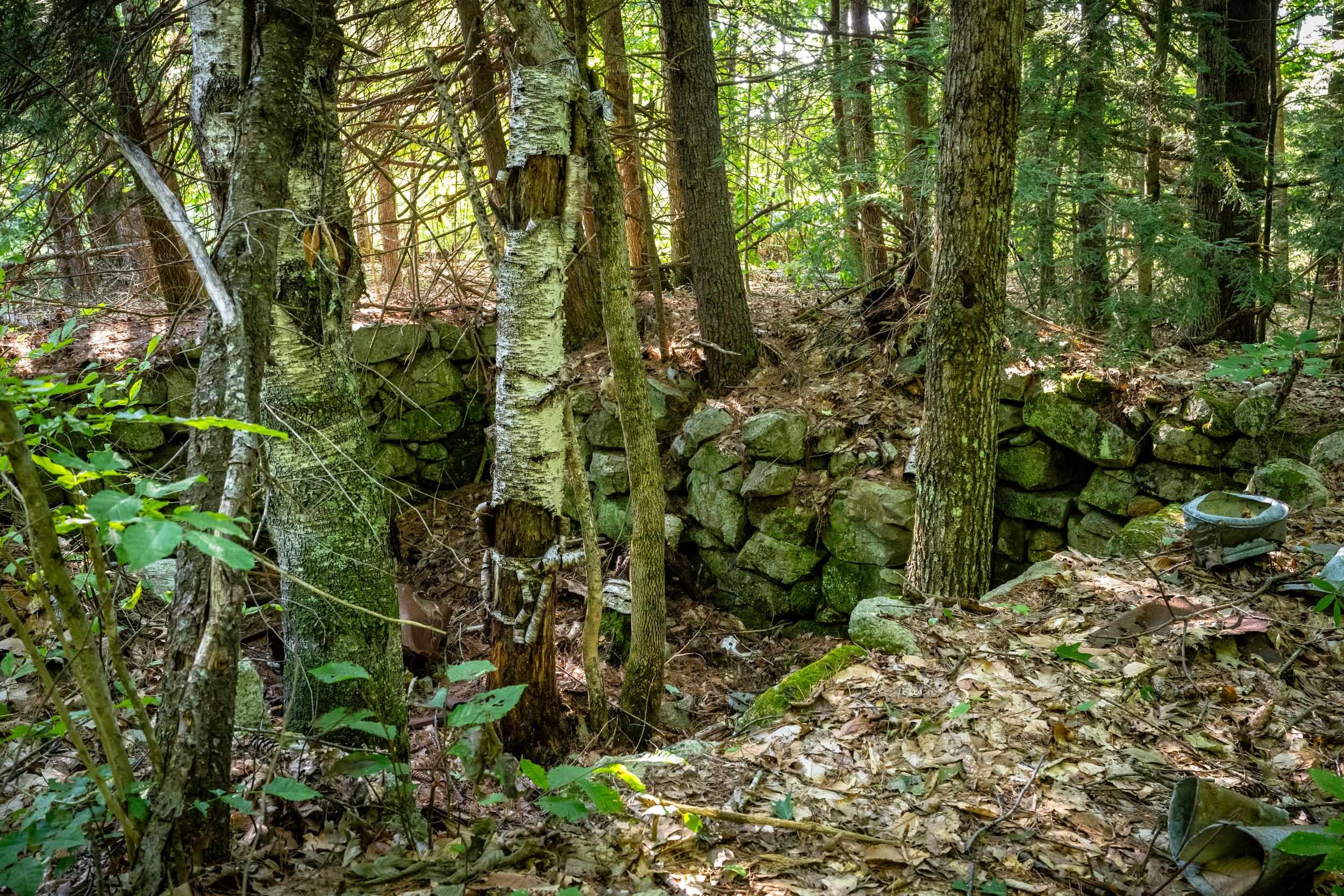 North Line Road Center Tuftonboro, NH 03816 - Photo 20 of 25