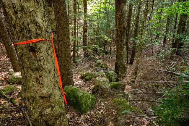 $950,000 | North Line Road, Center Tuftonboro, NH 03816