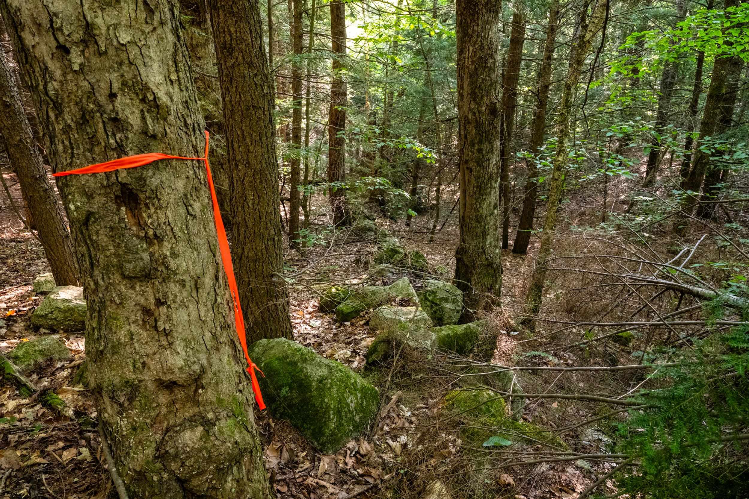 North Line Road Center Tuftonboro, NH 03816 - Photo 23 of 25