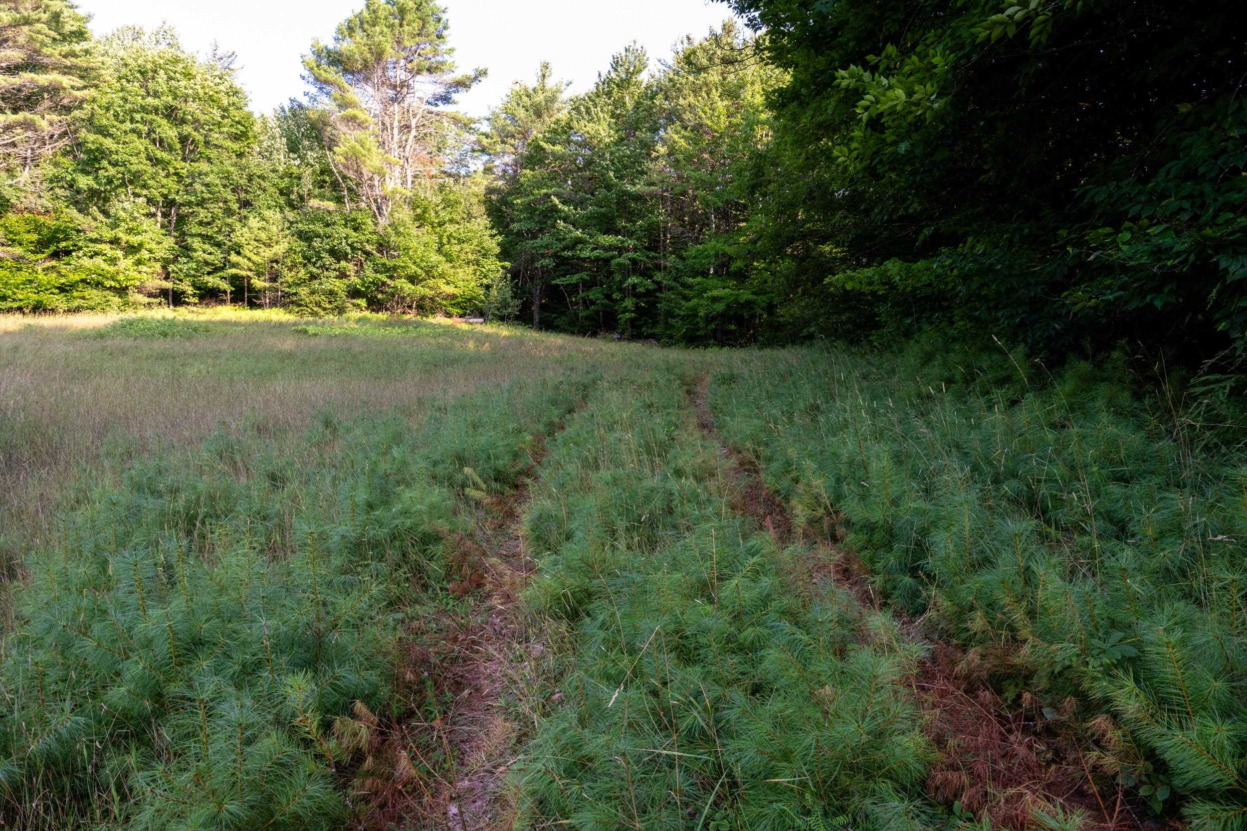 North Line Road Center Tuftonboro, NH 03816 - Photo 4 of 25