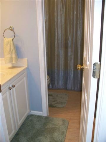 10 Chantilly Rue Court Simpsonville, SC 29681 - Photo 11 of 18 Gallery Image 11