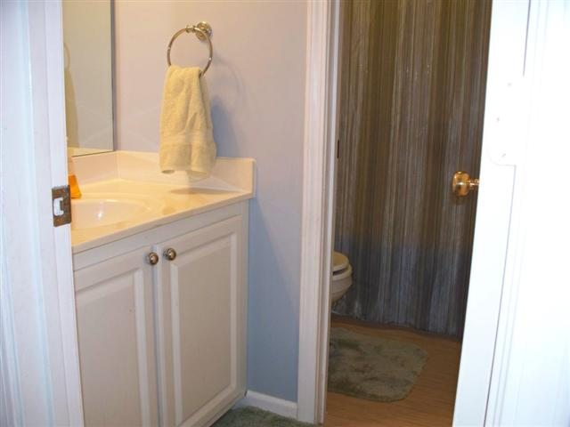 10 Chantilly Rue Court Simpsonville, SC 29681 - Photo 12 of 18 Gallery Image 12