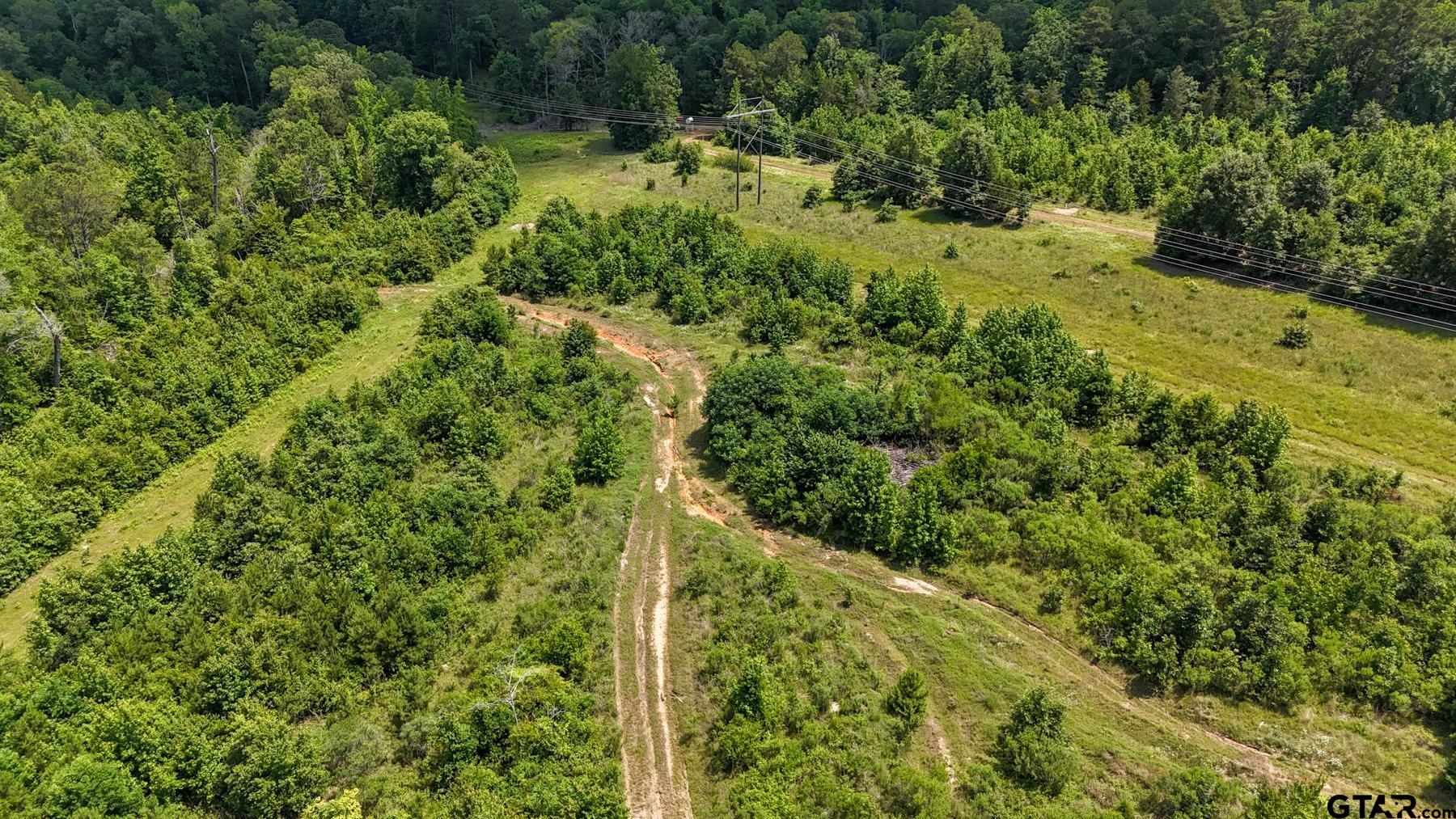 0 Avinger Cut Off Road Avinger, TX 75630 - Photo 26 of 48