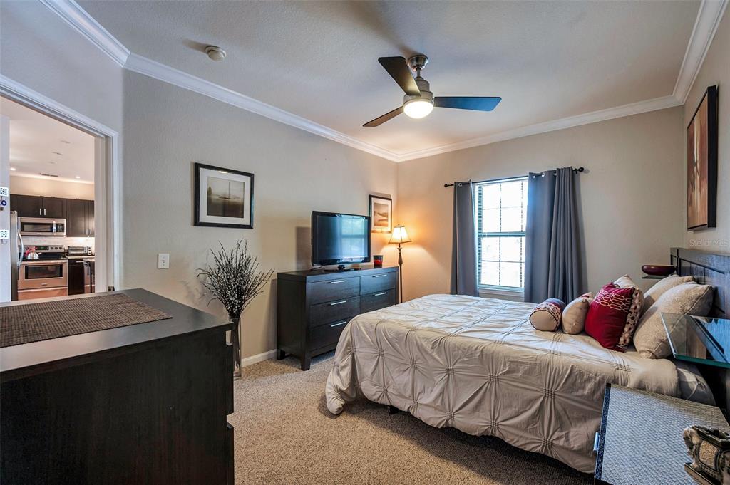 2245 Chianti Place, Unit 724 Palm Harbor, FL 34683 - Photo 24 of 76