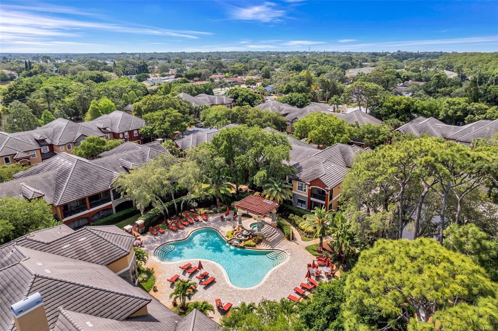 2245 Chianti Place, Unit 724 Palm Harbor, FL 34683 - Photo 35 of 76