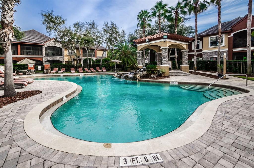 2245 Chianti Place, Unit 724 Palm Harbor, FL 34683 - Photo 66 of 76 a view of a swimming pool with a garden