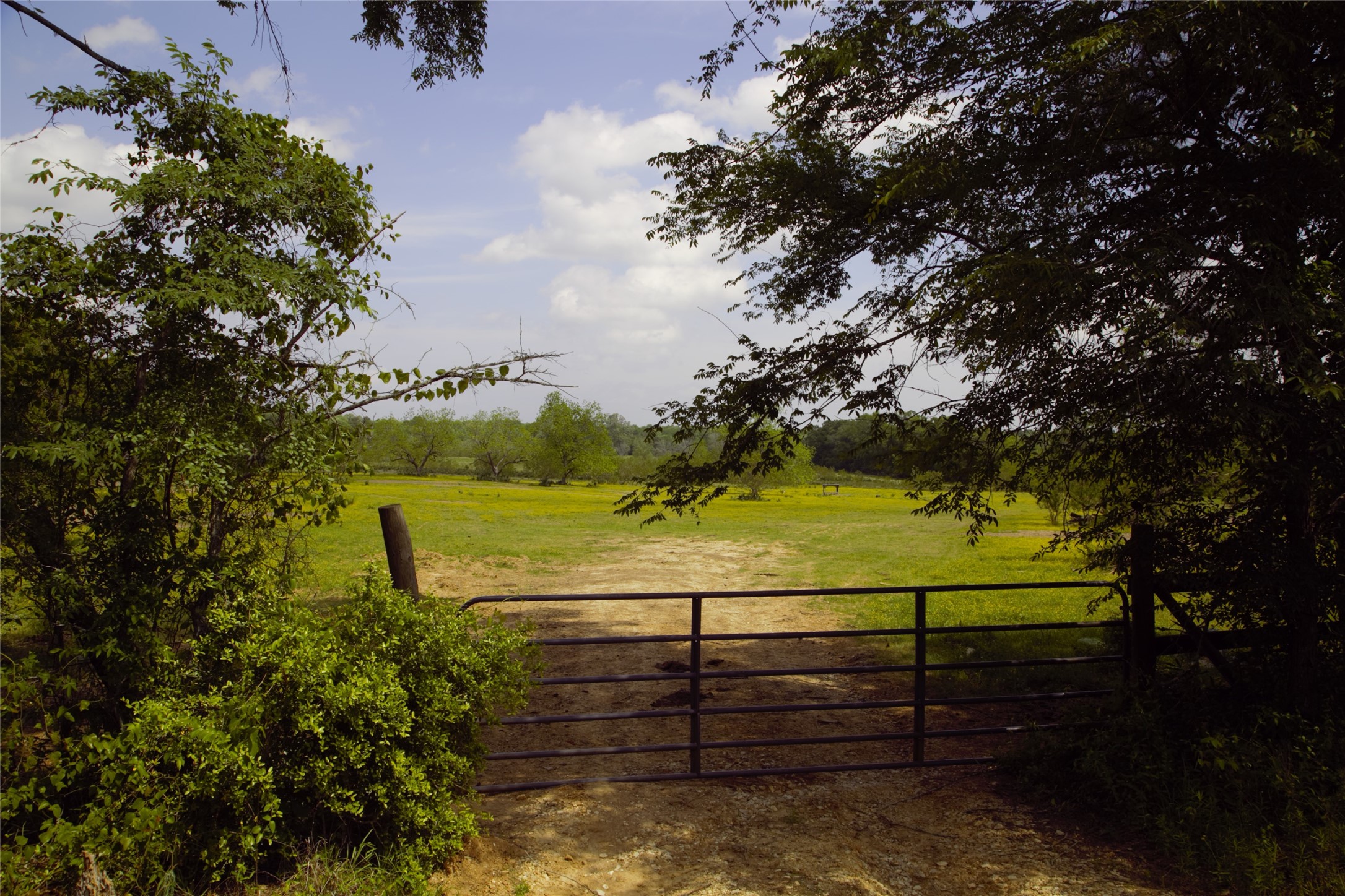 350 Rotan Corrigan, TX 75939 - Photo 1 of 20 Beautiful remote property just waiting for your plans.