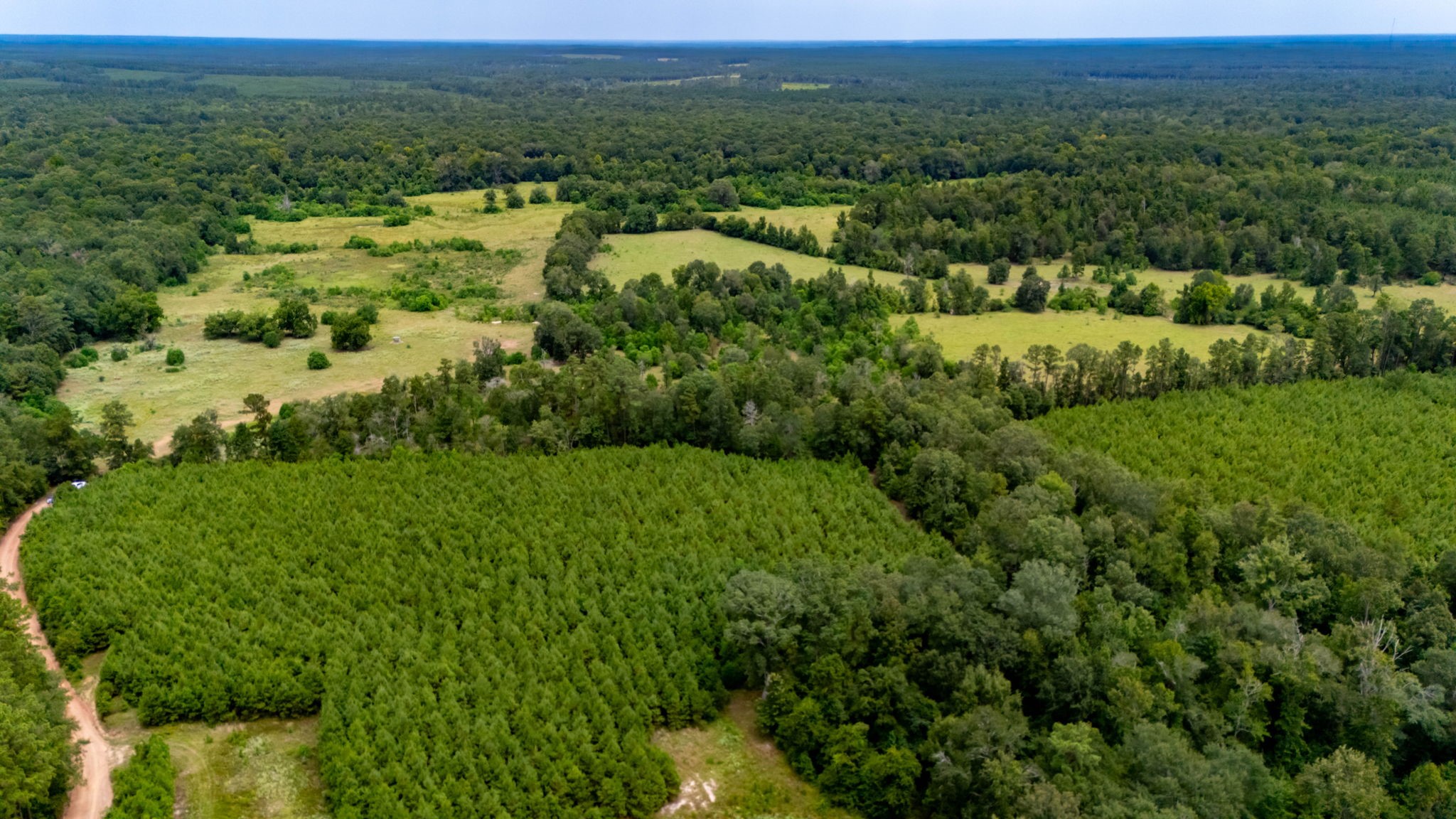 350 Rotan Corrigan, TX 75939 - Photo 12 of 20