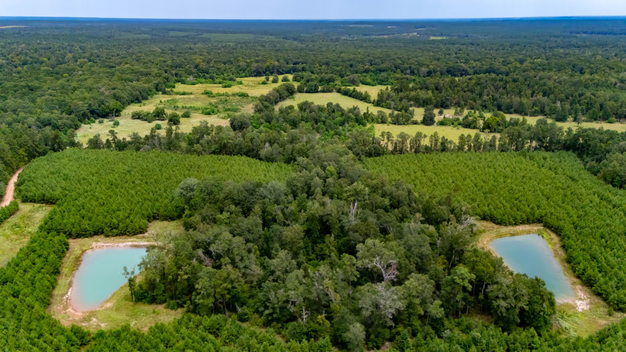 350 Rotan Corrigan, TX 75939 - Photo 13 of 20