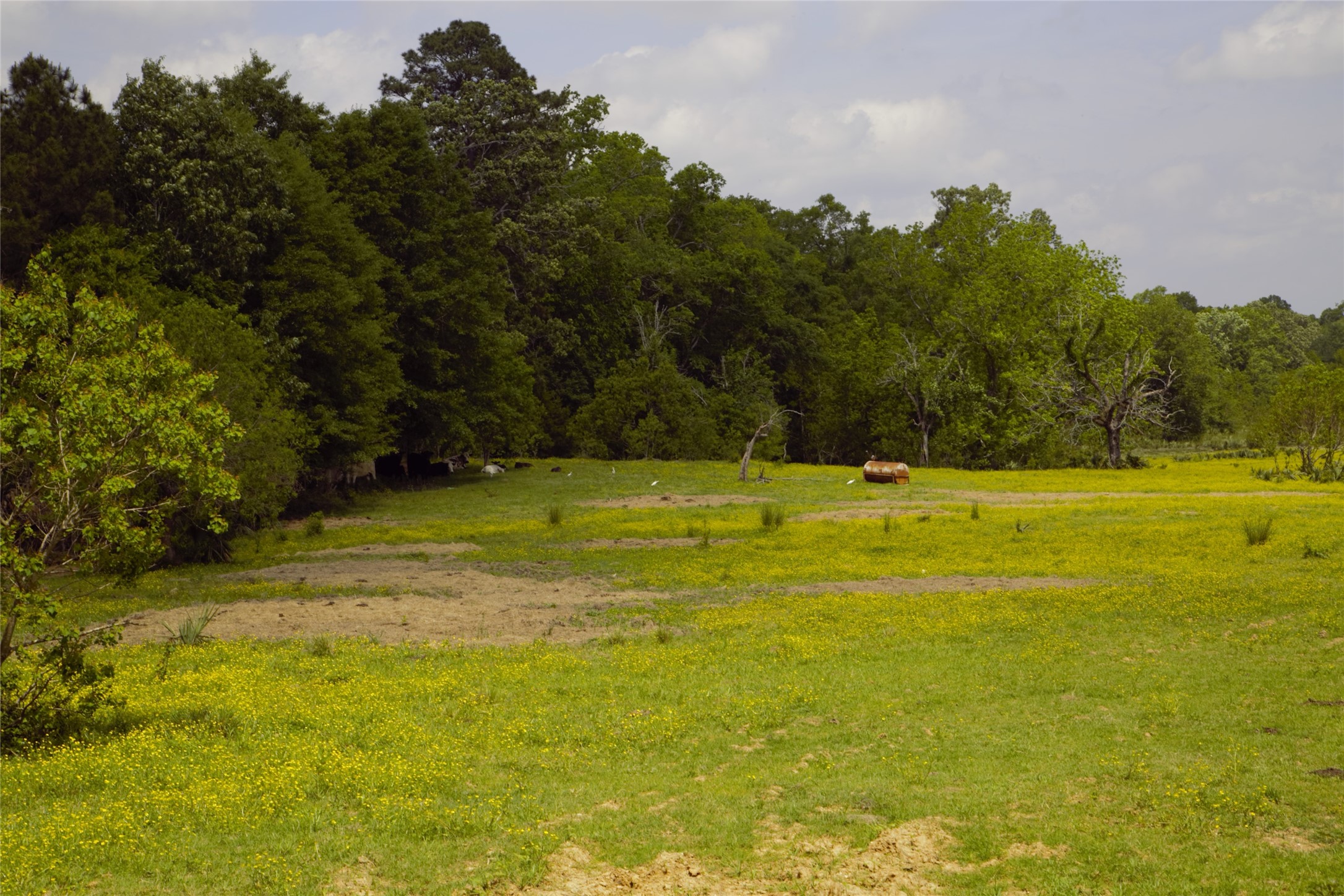 350 Rotan Corrigan, TX 75939 - Photo 2 of 20