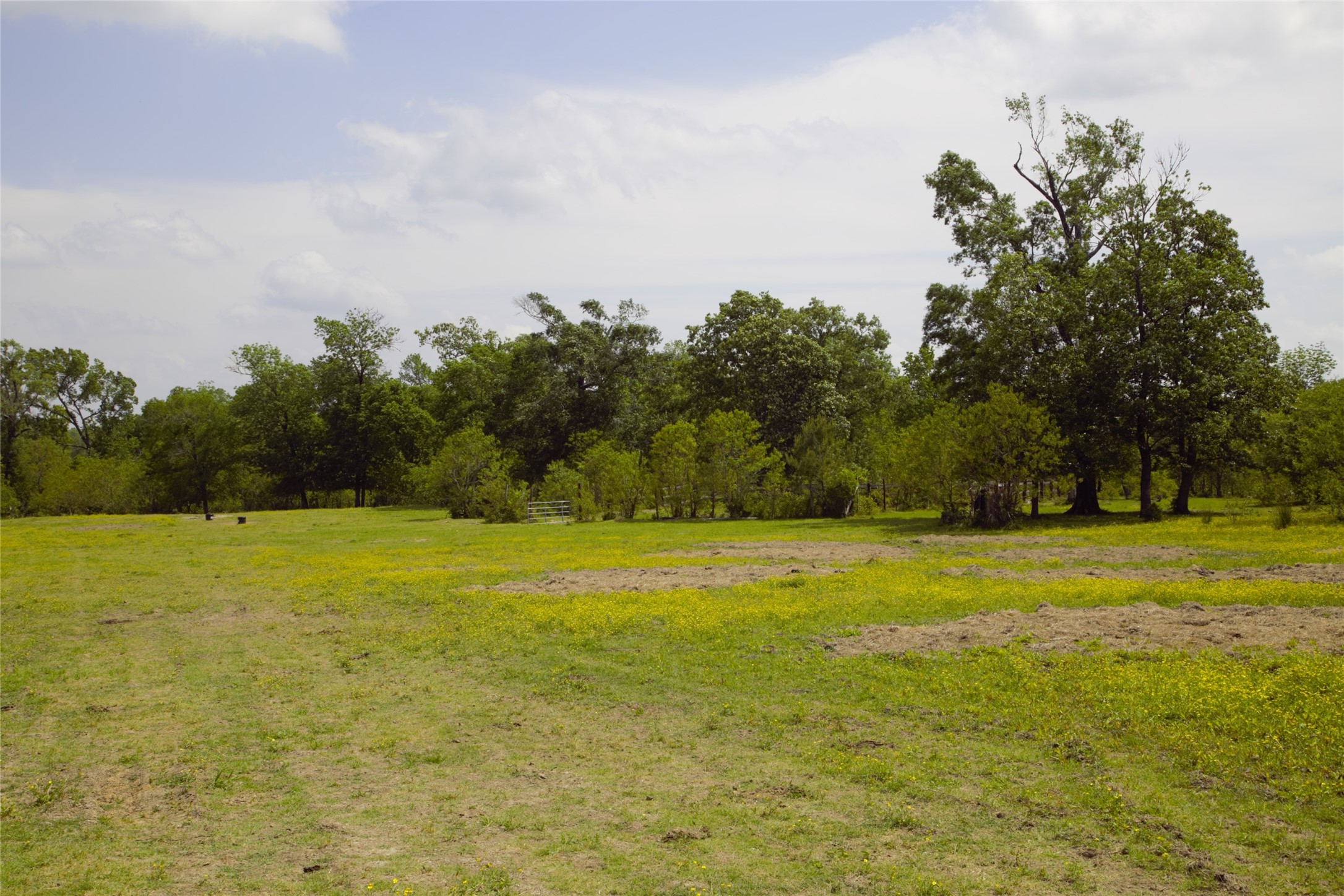 350 Rotan Corrigan, TX 75939 - Photo 3 of 20