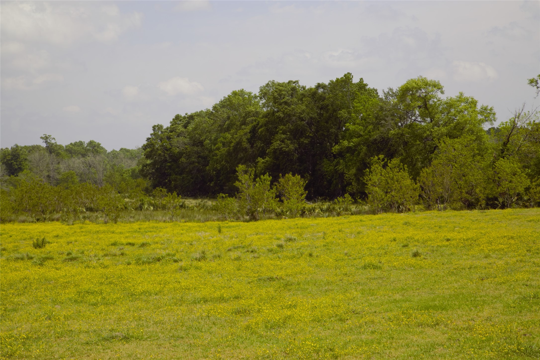 350 Rotan Corrigan, TX 75939 - Photo 4 of 20