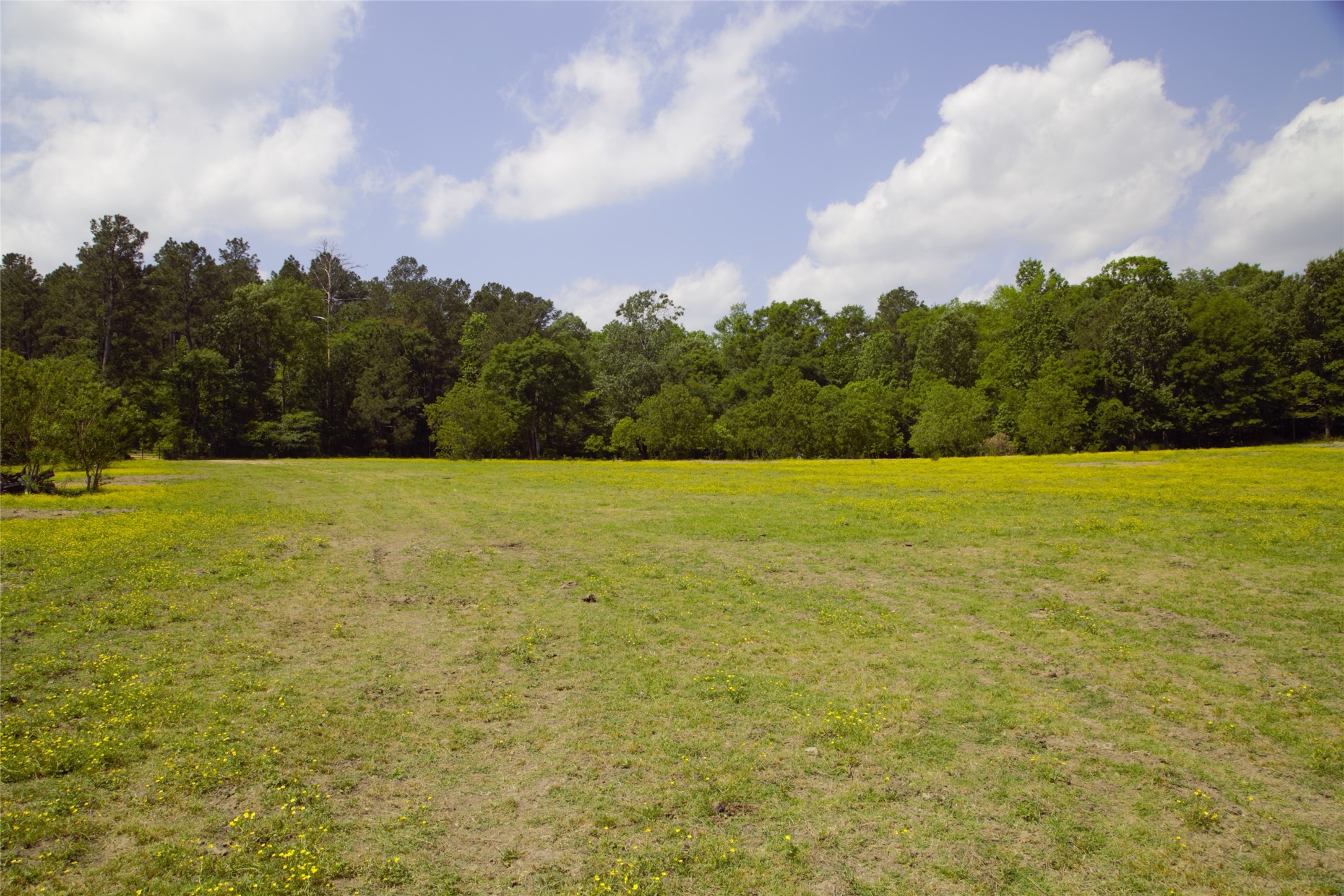 350 Rotan Corrigan, TX 75939 - Photo 5 of 20
