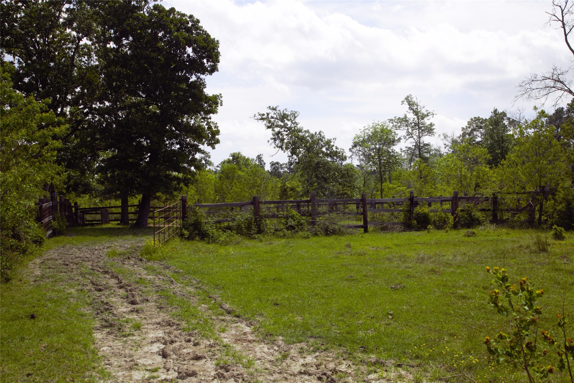 350 Rotan Corrigan, TX 75939 - Photo 7 of 20