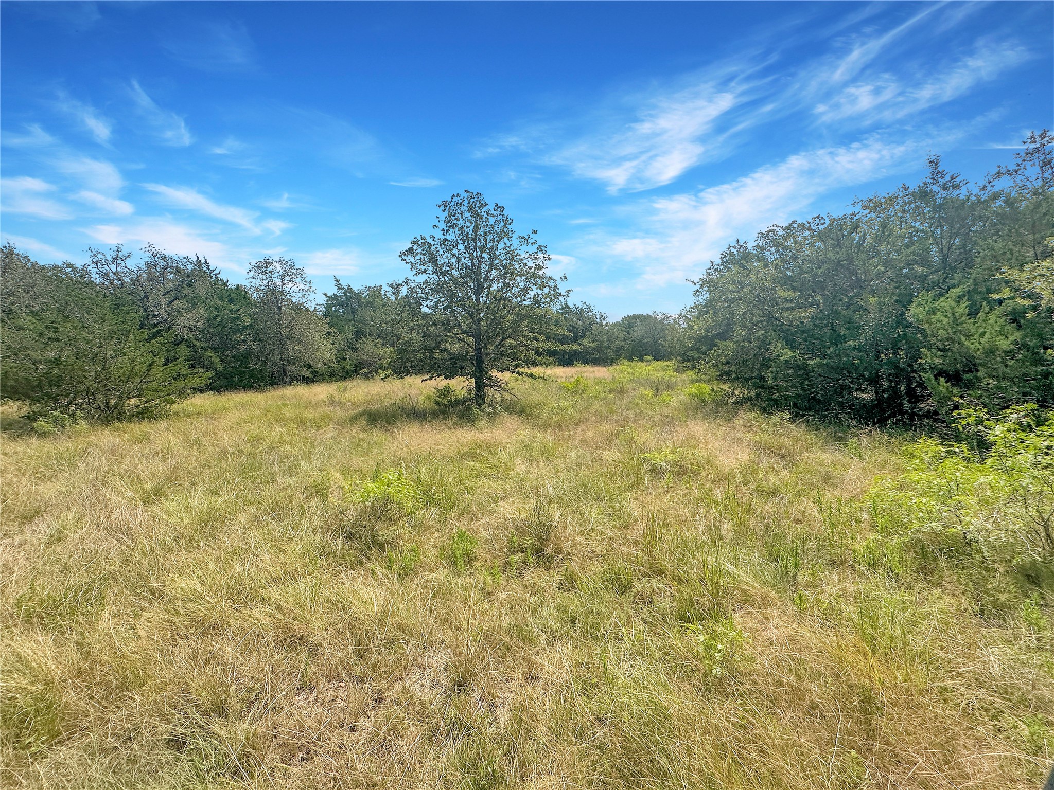 1345 Davis Road Muldoon, TX 78949 - Photo 15 of 25 a view of an outdoor space and a yard