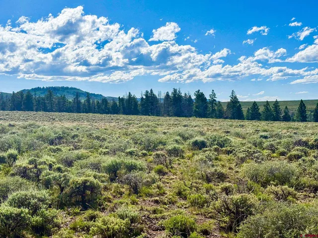 a view of a big yard
