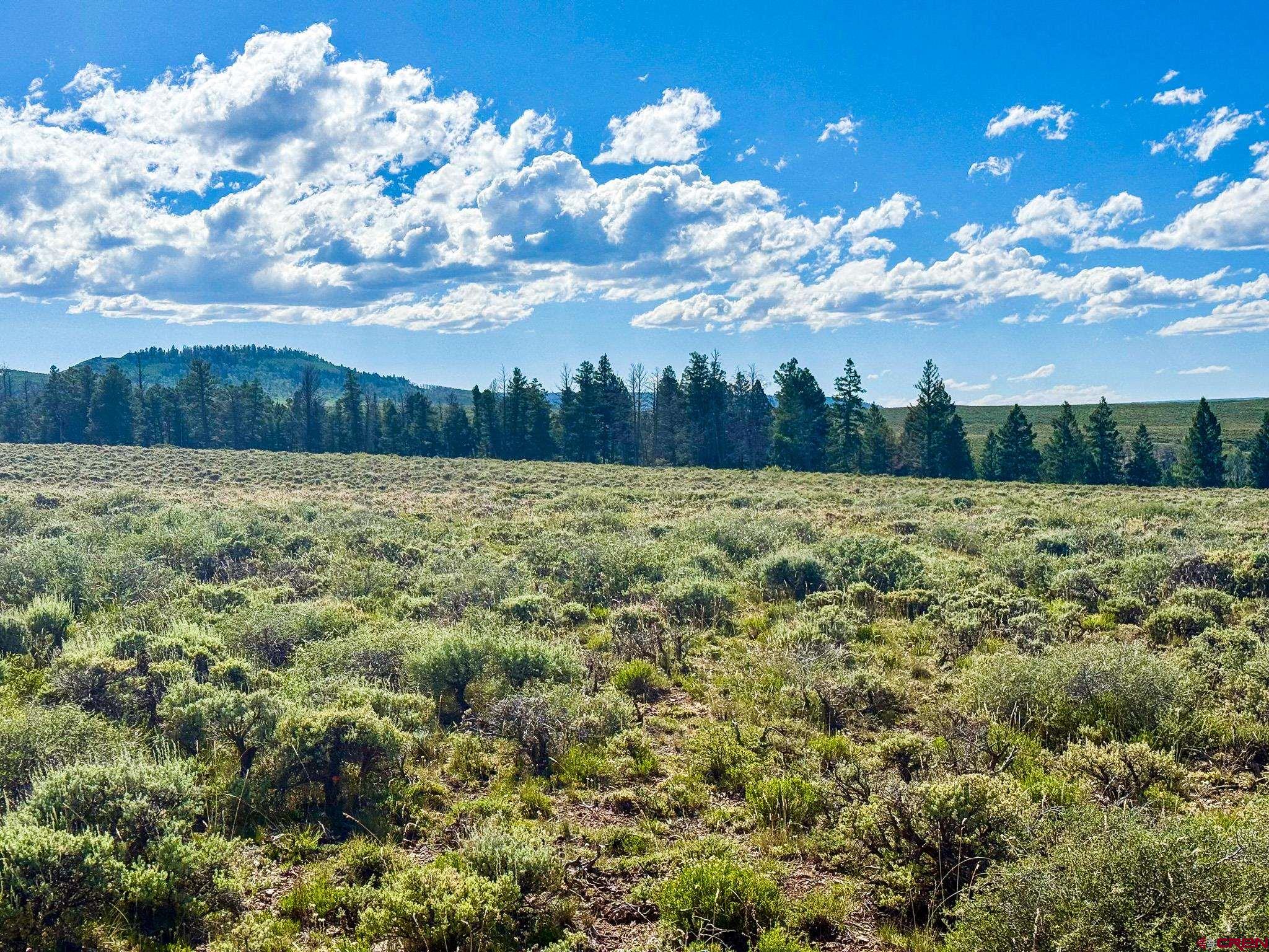25 Rd Gunnison Co 81243 Road Powderhorn, CO 81243 - Photo 3 of 8