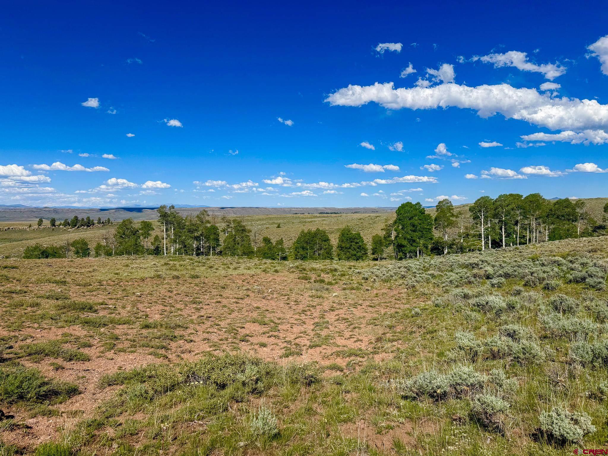 25 Rd Gunnison Co 81243 Road Powderhorn, CO 81243 - Photo 4 of 8