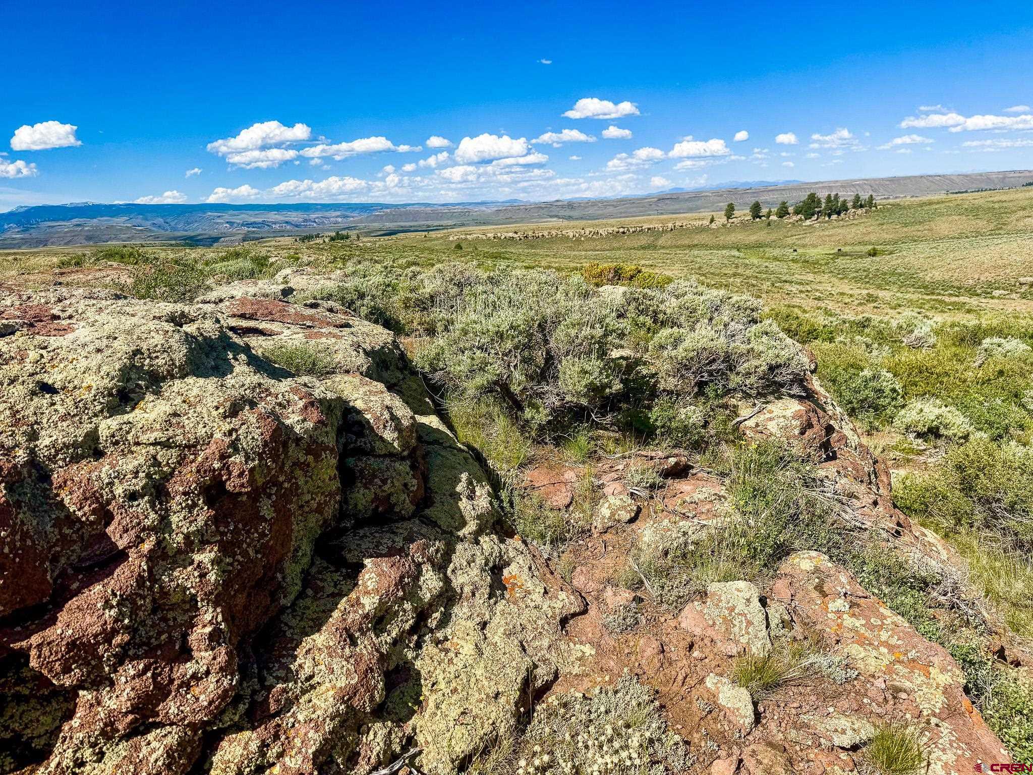 25 Rd Gunnison Co 81243 Road Powderhorn, CO 81243 - Photo 5 of 8