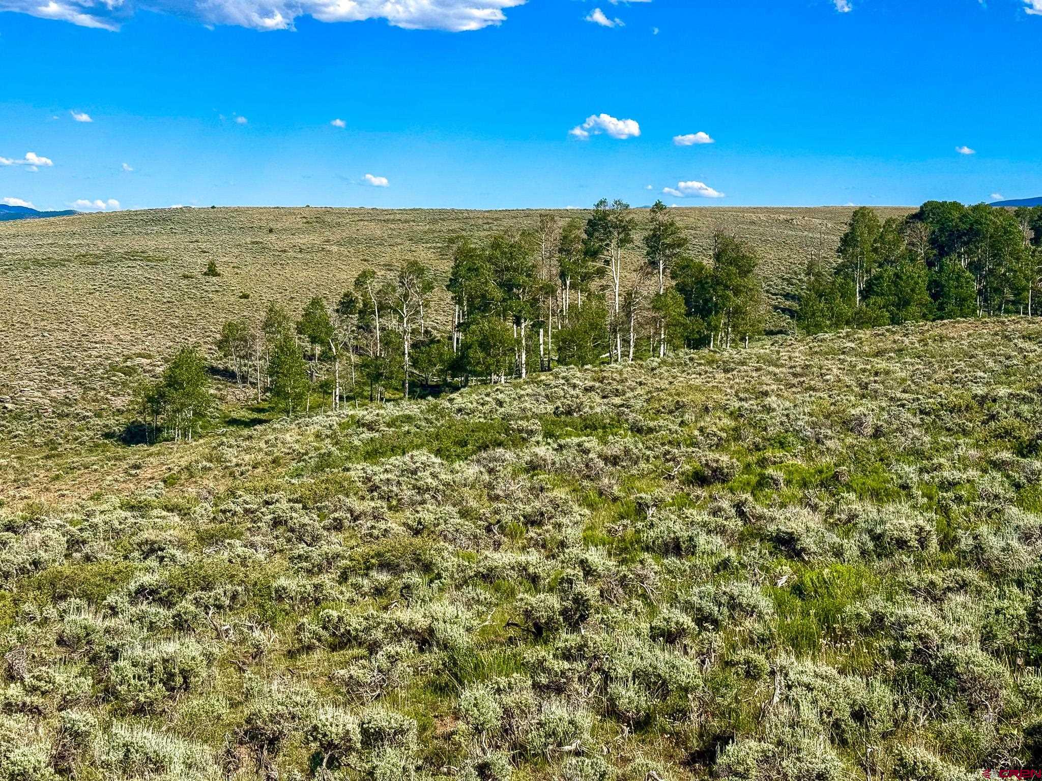 25 Rd Gunnison Co 81243 Road Powderhorn, CO 81243 - Photo 6 of 8