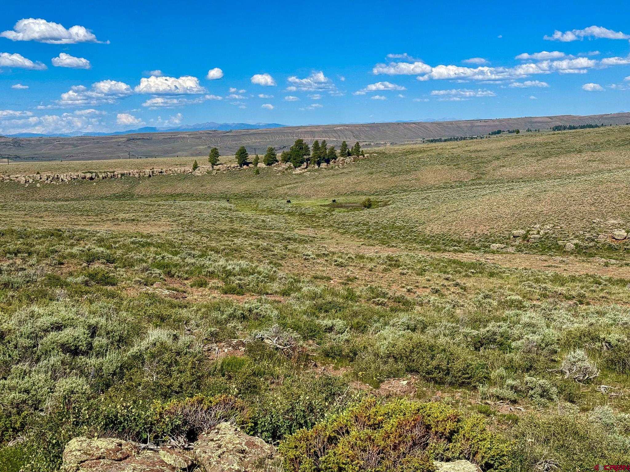 25 Rd Gunnison Co 81243 Road Powderhorn, CO 81243 - Photo 7 of 8