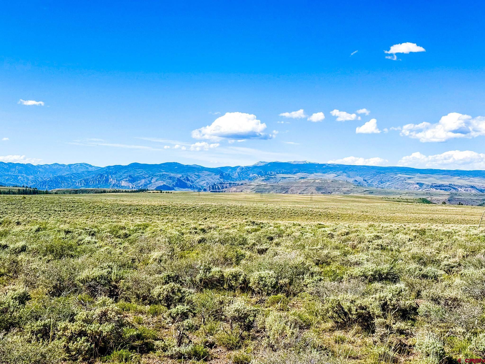 25 Rd Gunnison Co 81243 Road Powderhorn, CO 81243 - Photo 8 of 8