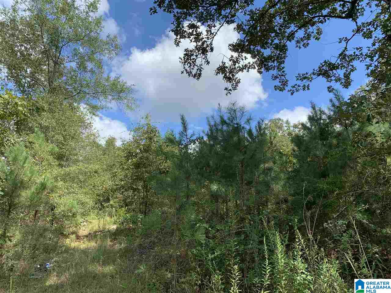 Mckesie Street, Unit 40 Riverside, AL 35135 - Photo 10 of 24
