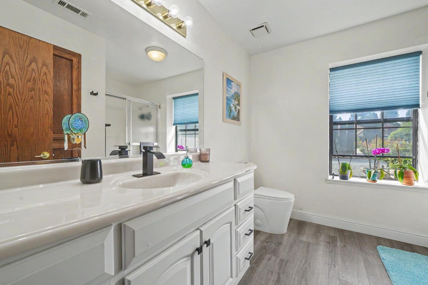 67 St Andrews Road Valley Springs, CA 95252 - Photo 28 of 58 a bathroom with a sink a toilet and a mirror