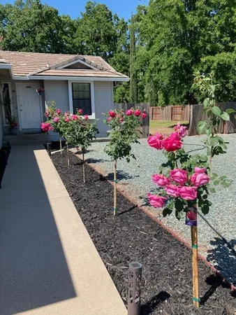 $430,000 | 67 St Andrews Road, Valley Springs, CA 95252