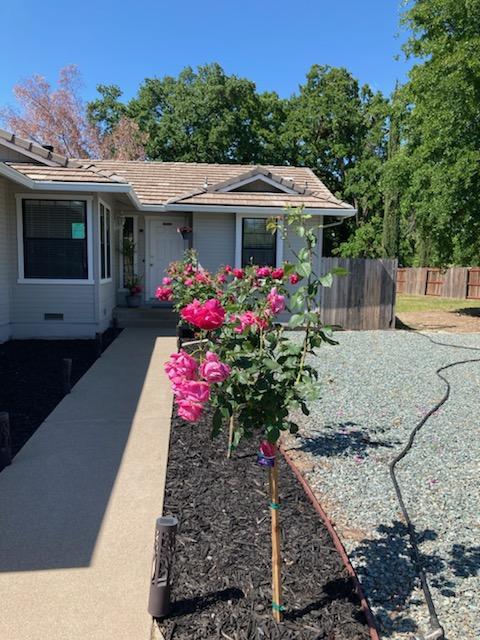 67 St Andrews Road Valley Springs, CA 95252 - Photo 57 of 58 a view of a house with a yard and a garden
