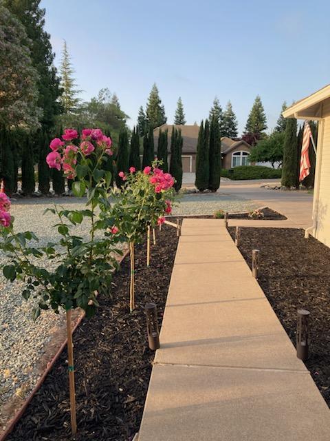 67 St Andrews Road Valley Springs, CA 95252 - Photo 58 of 58