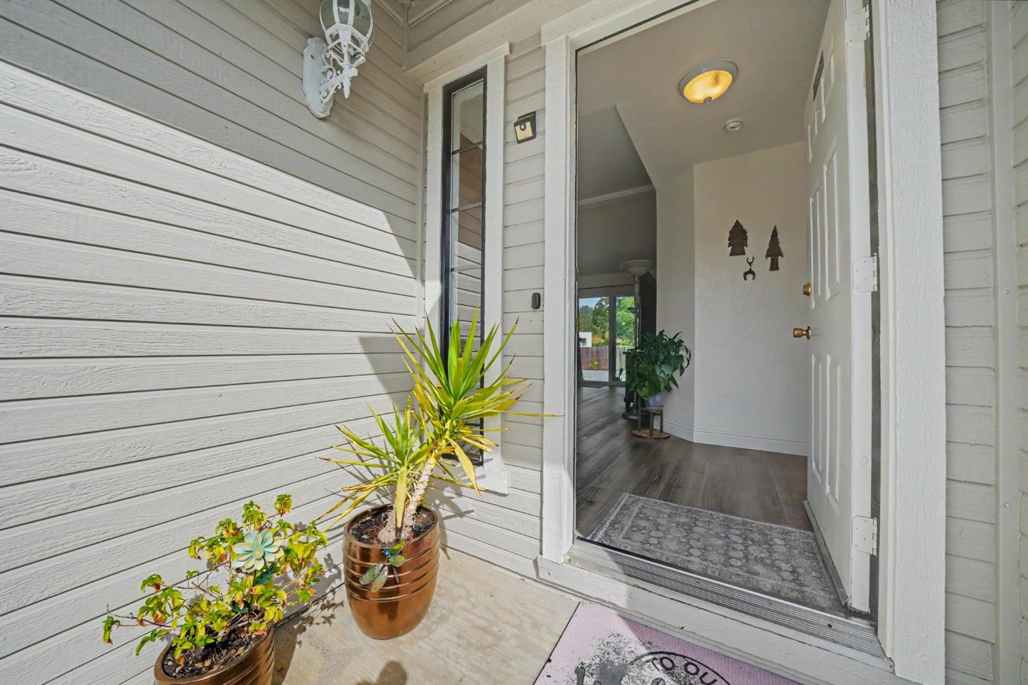 67 St Andrews Road Valley Springs, CA 95252 - Photo 7 of 58 a potted plant sitting in front of a glass door