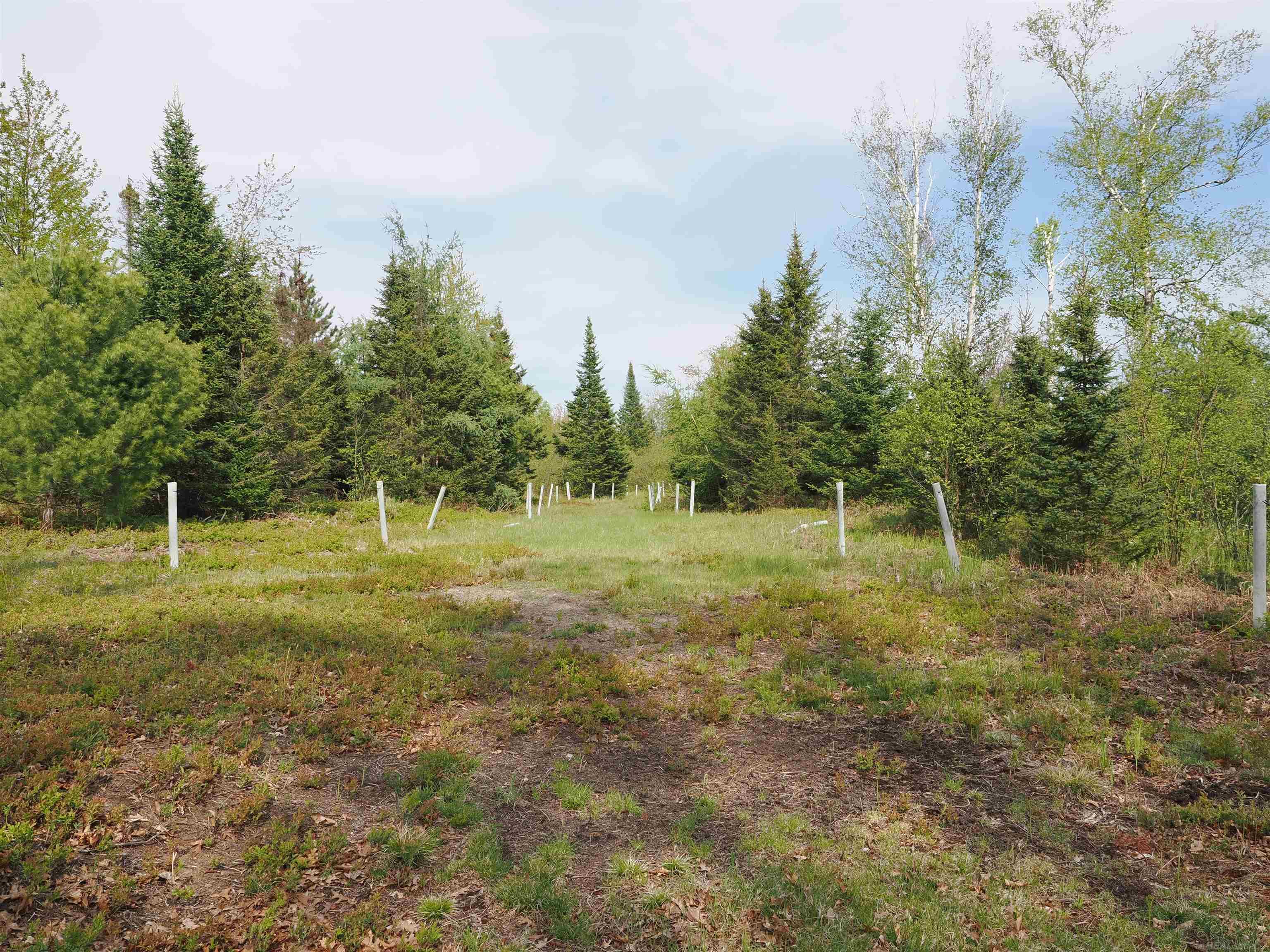 4011 Sandall Road Alpena, MI 49707 - Photo 43 of 73