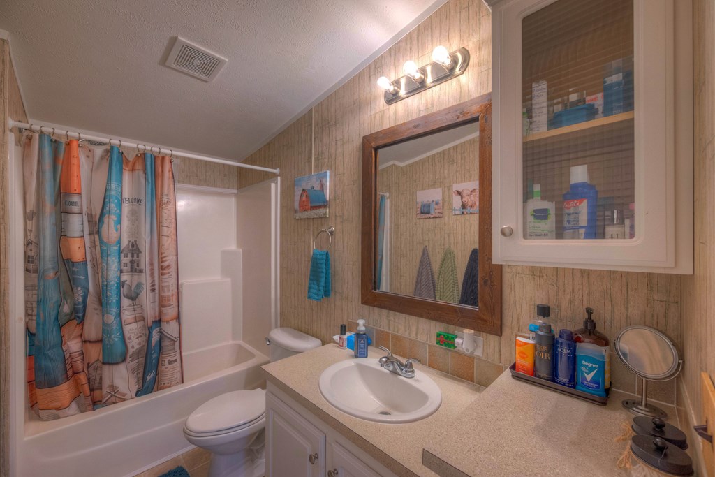 215 Turkey Ridge Drive Murphy, NC 28906 - Photo 23 of 47