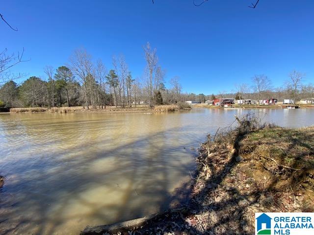 475 Crawfish Lane Ragland, AL 35131 - Photo 8 of 24