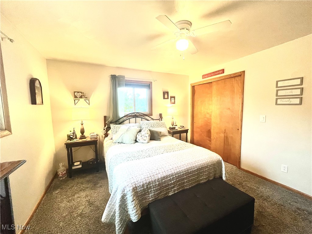 91070 Kilgore Ridge Road Scio, OH 43988 - Photo 18 of 40 Bedroom with carpet floors, a ceiling fan, and a closet