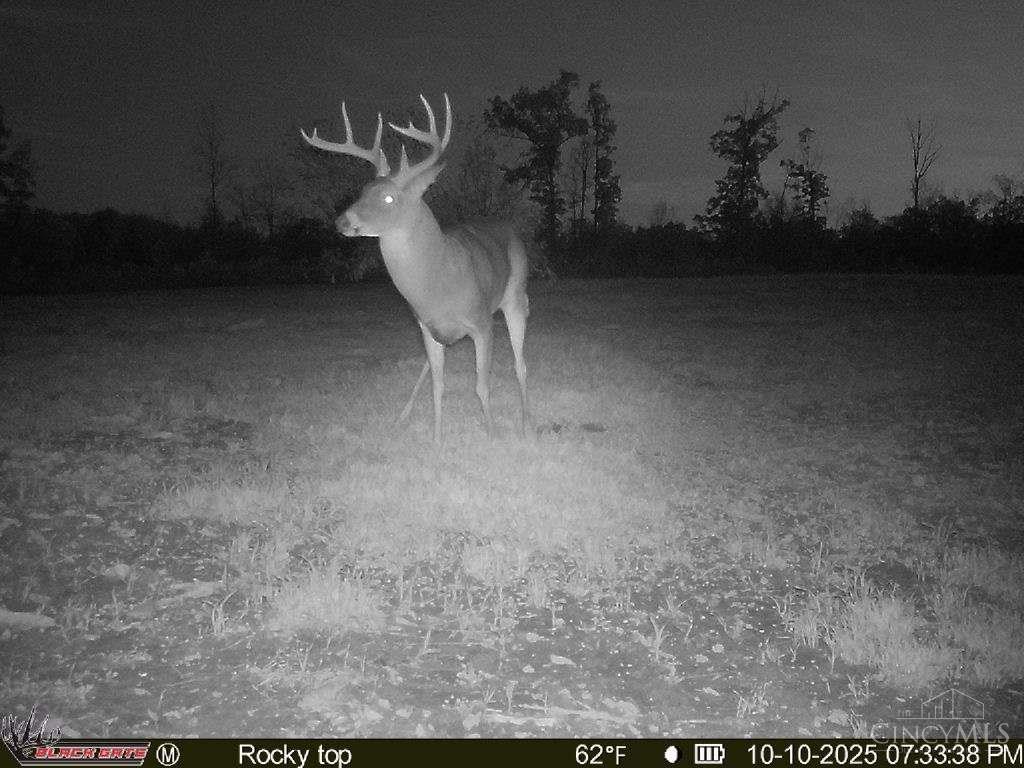 A Enley Road McDermott, OH 45652 - Photo 31 of 97