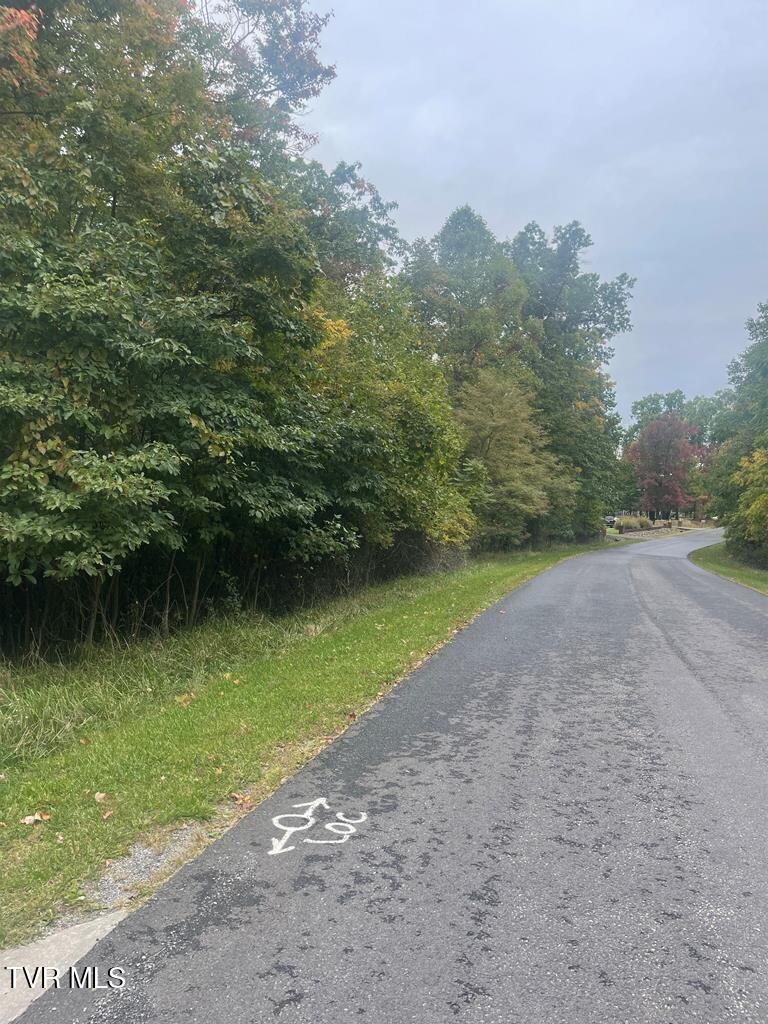 Tbd Airport Road, Unit 5 & 6 Cedar Bluff, VA 24609 - Photo 8 of 8 80639_4