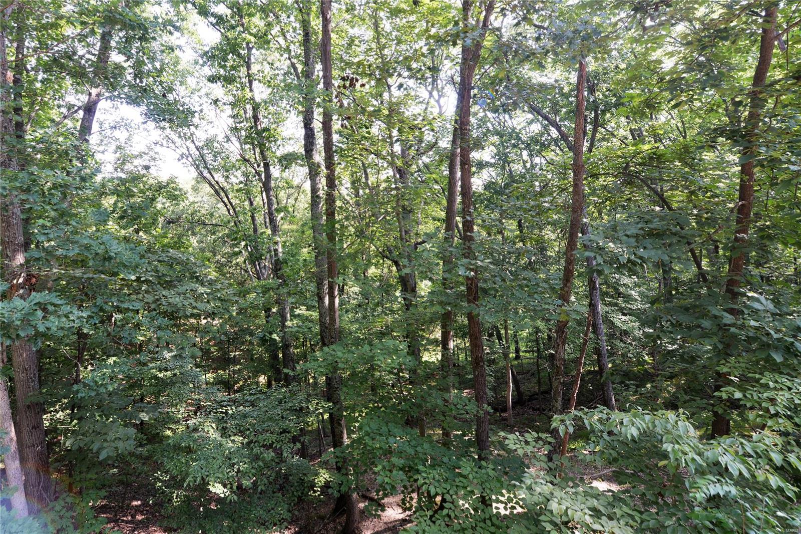 809 Wildflower Valley Road High Ridge, MO 63049 - Photo 62 of 68