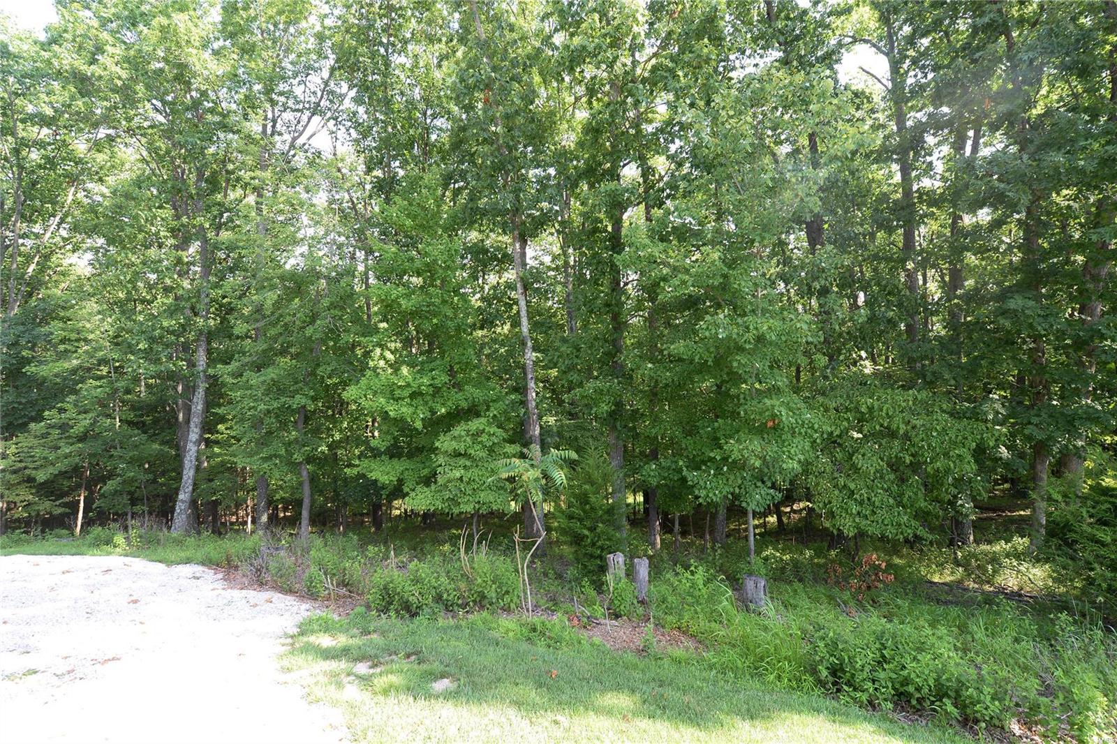 809 Wildflower Valley Road High Ridge, MO 63049 - Photo 63 of 68