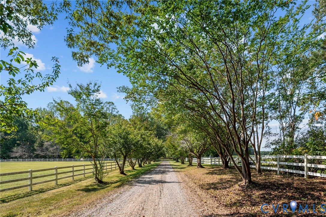 1801 Georgetown Road Heathsville, VA 22473 - Photo 13 of 83 Gravel driveway lined with mature trees and a whit