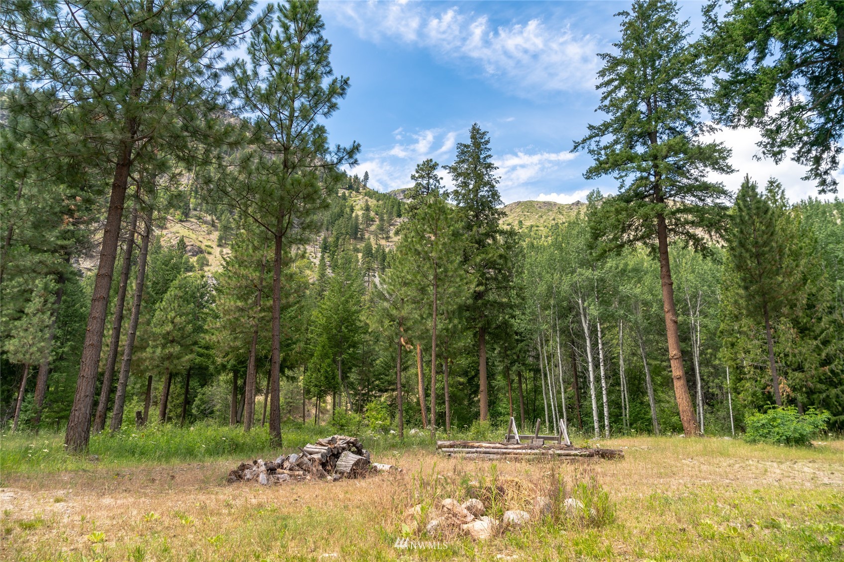 15350 Entiat River Road Entiat, WA 98822 - Photo 23 of 40