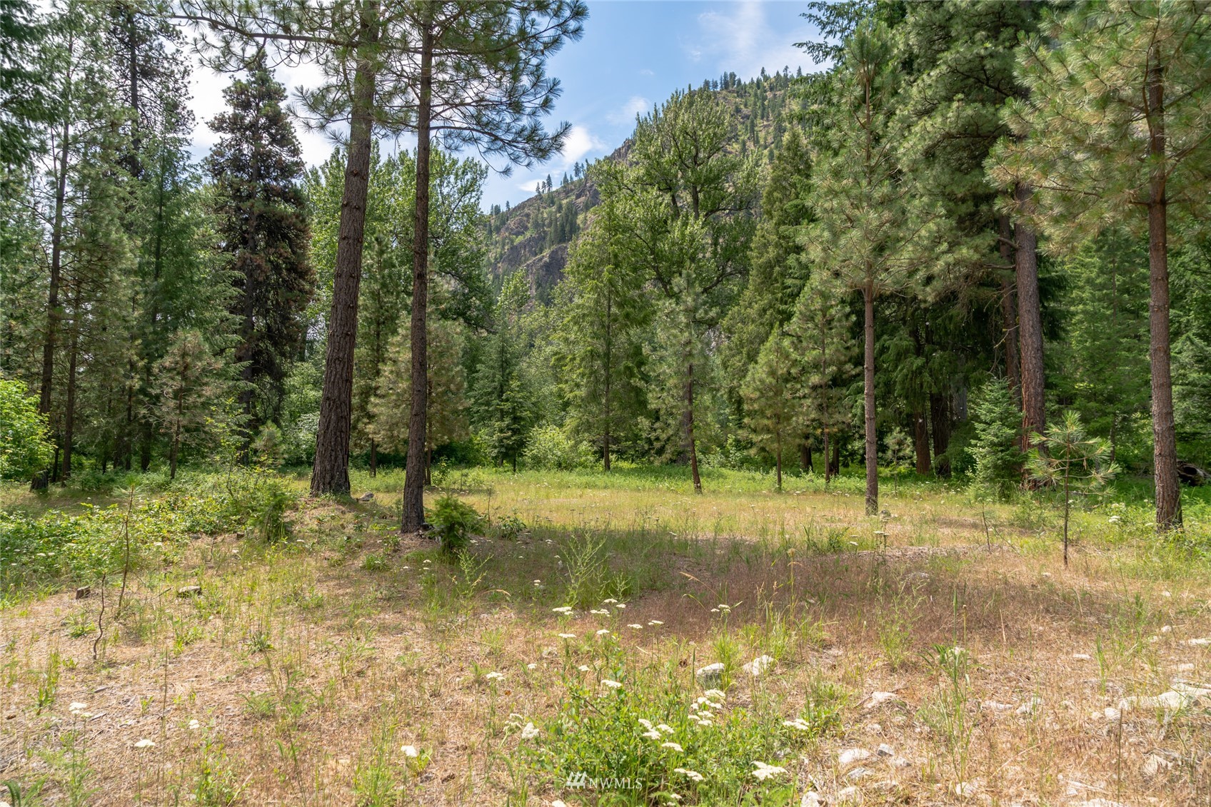 15350 Entiat River Road Entiat, WA 98822 - Photo 24 of 40