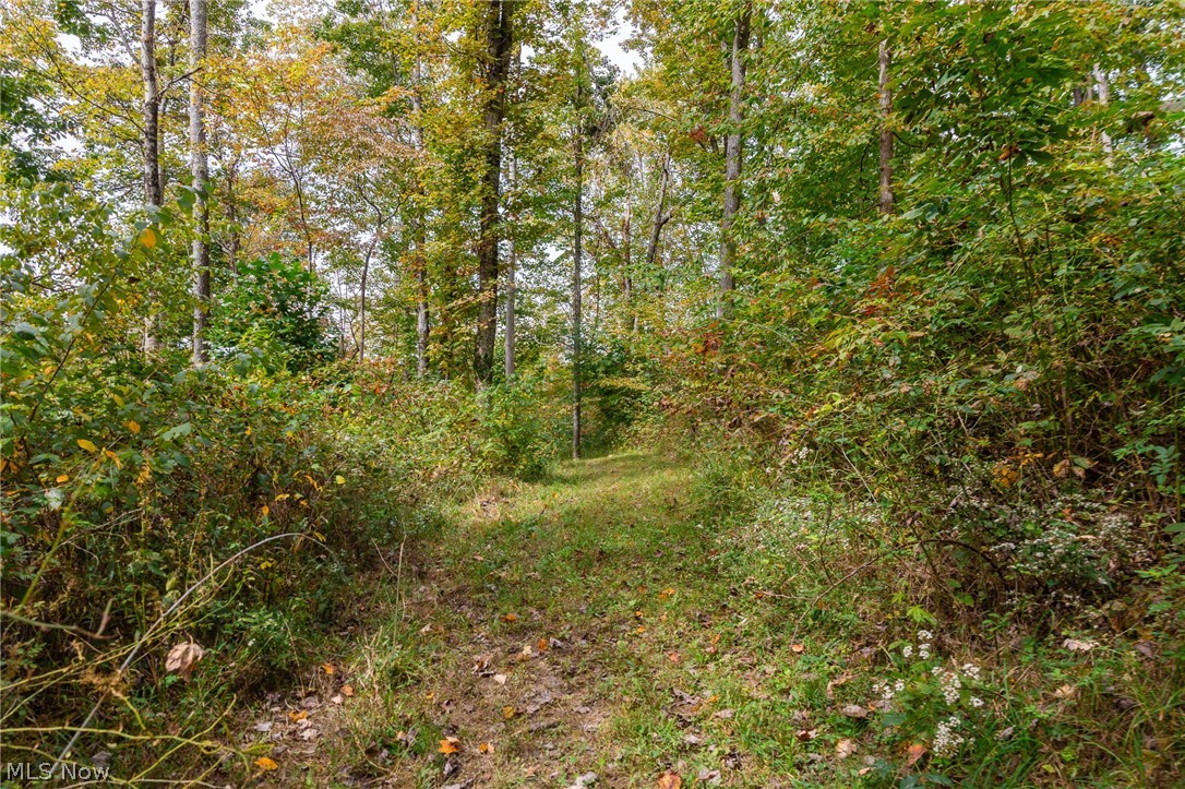 Lew Marten Road Summerfield, OH 43788 - Photo 34 of 50 Gallery Image 34