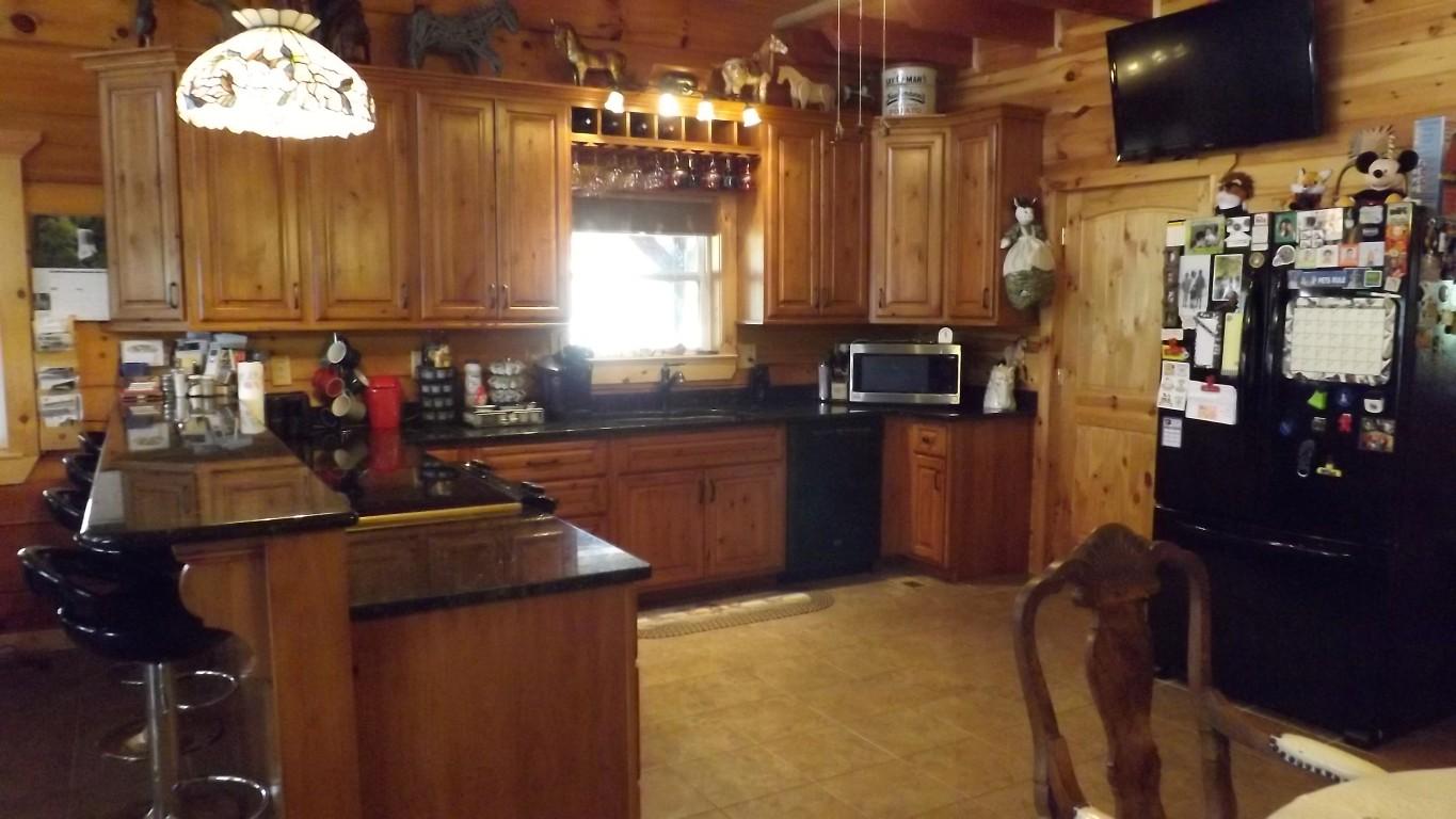 1042 Pin Hook Road, Unit 9 Spring City, TN 37381 - Photo 18 of 45 kitchen