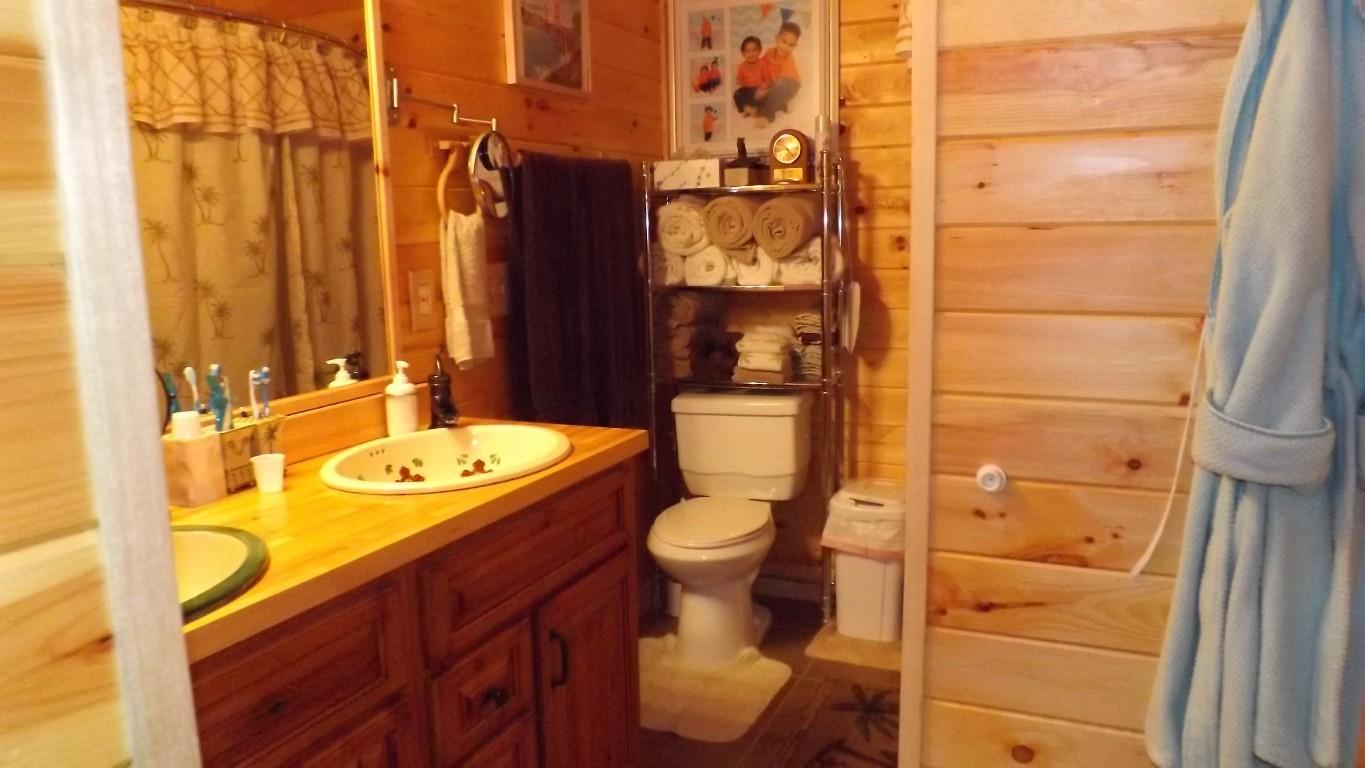 1042 Pin Hook Road, Unit 9 Spring City, TN 37381 - Photo 28 of 45 master bath (Medium)