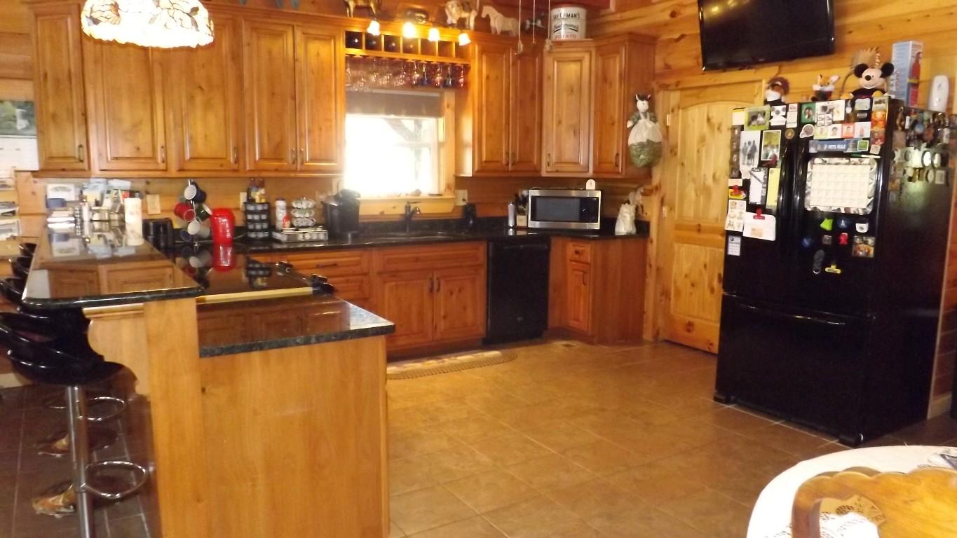1042 Pin Hook Road, Unit 9 Spring City, TN 37381 - Photo 8 of 45 kitchen 3