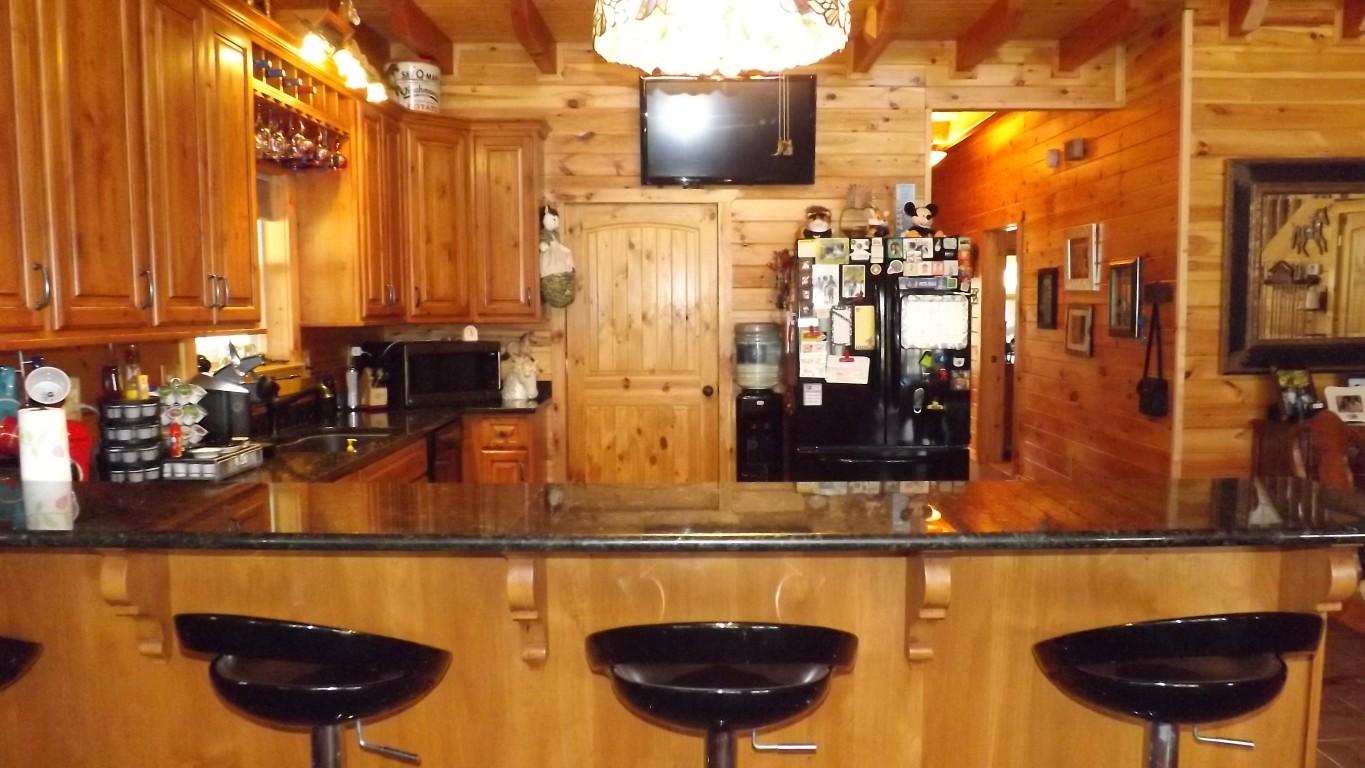 1042 Pin Hook Road, Unit 9 Spring City, TN 37381 - Photo 9 of 45 kitchen bar