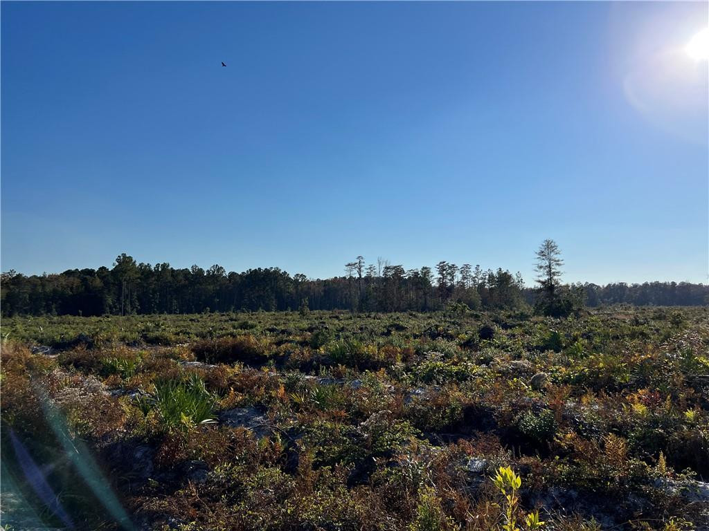 99 Highway 99 Townsend, GA 31331 - Photo 24 of 36