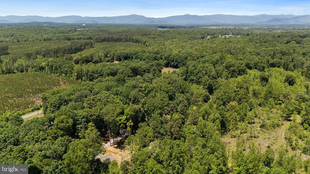 12121 Albano Road Barboursville, VA 22923 - Photo 66 of 67